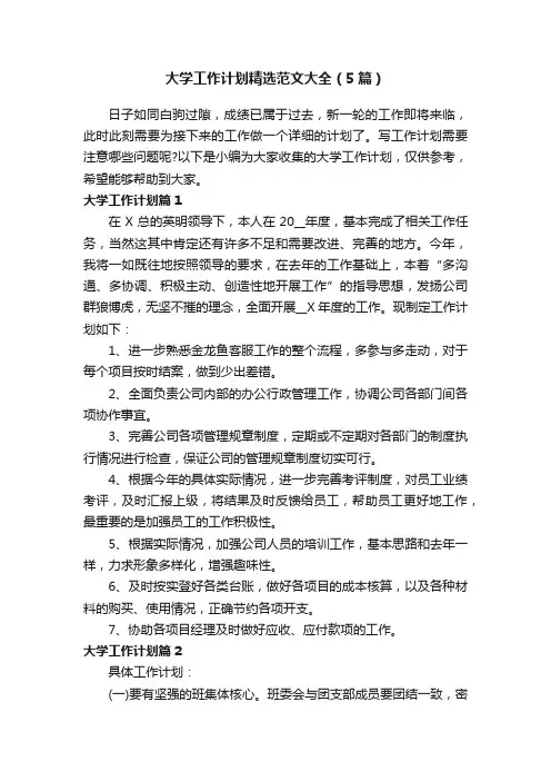 大学工作计划精选范文大全（5篇）