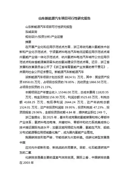 山东新能源汽车项目可行性研究报告