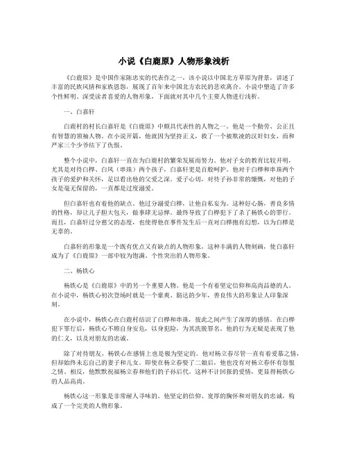 小说《白鹿原》人物形象浅析