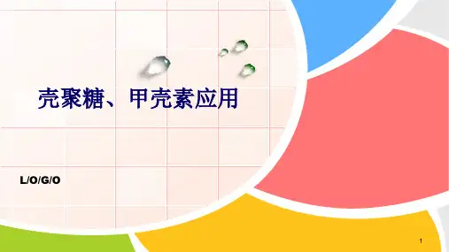 壳聚糖、甲壳素应用PPT课件