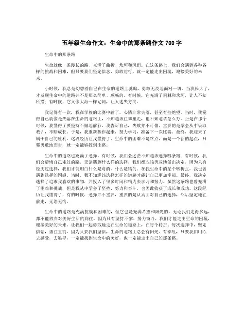 五年级生命作文：生命中的那条路作文700字