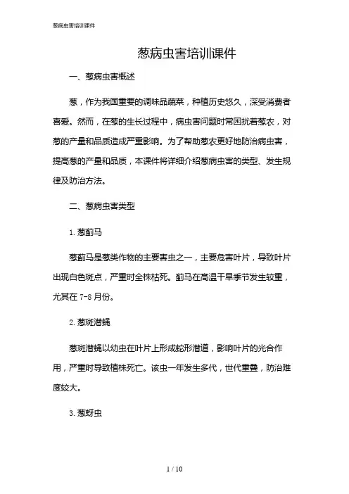 2024年葱病虫害培训课件