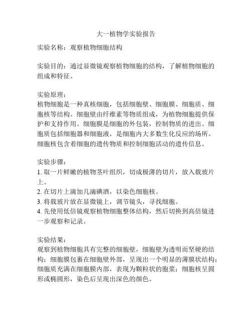 大一植物学实验报告