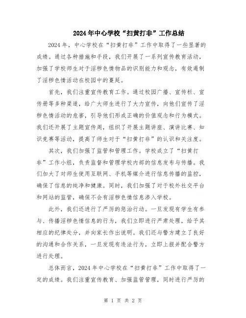 2024年中心学校“扫黄打非”工作总结