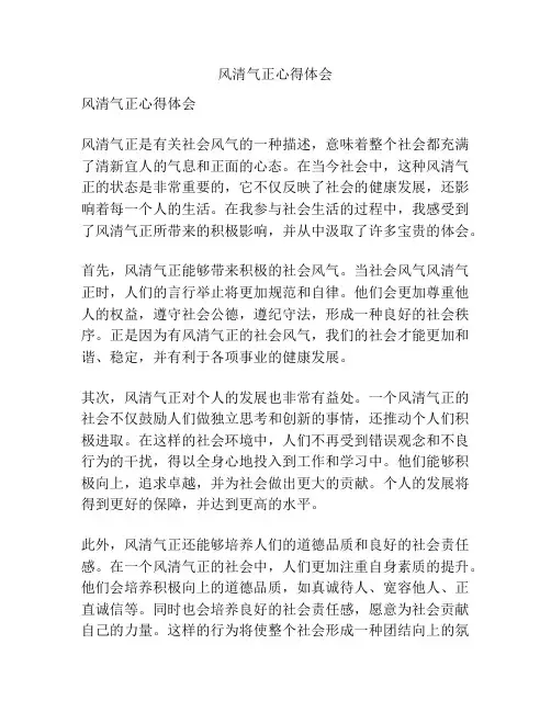 风清气正心得体会
