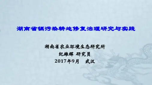 1-3  纪熊辉--湖南省镉污染耕地修复治理研究与实践