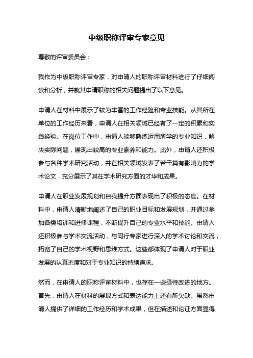 中级职称评审专家意见