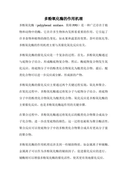 多酚氧化酶的作用机理