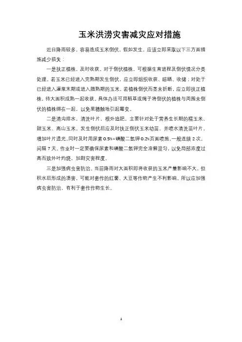 玉米洪涝灾害减灾应对措施