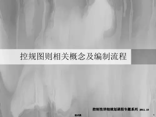 控制性详细规划图则制定方法(严选)