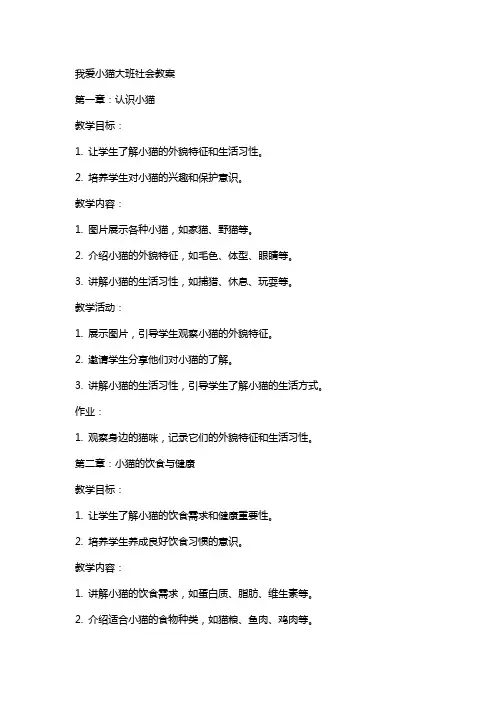 我爱小猫大班社会教案