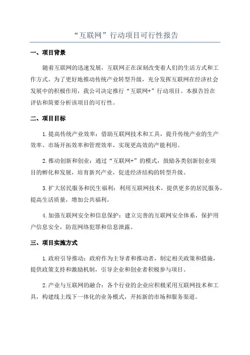 “互联网”行动项目可行性报告