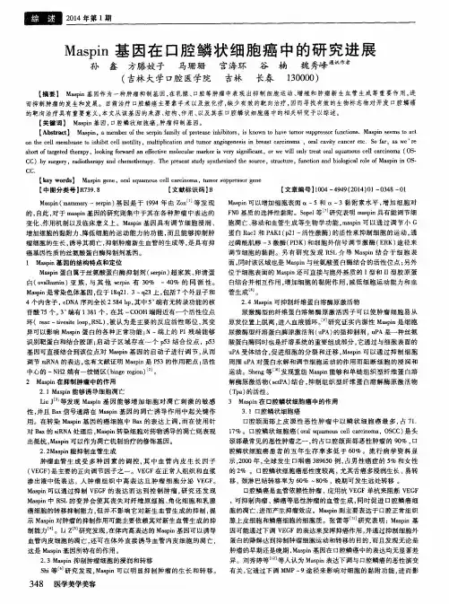 Maspin 基因在口腔鳞状细胞癌中的研究进展