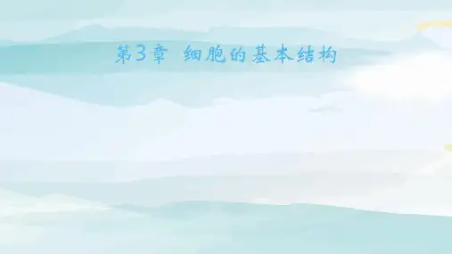 02-第2节 细胞器之间的分工合作高中生物必修第一册人教版