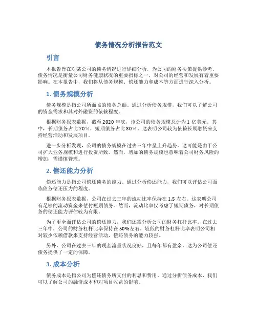 债务情况分析报告范文