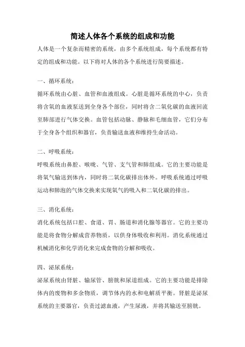 简述人体各个系统的组成和功能
