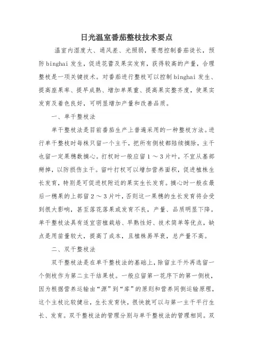 日光温室番茄整枝技术要点