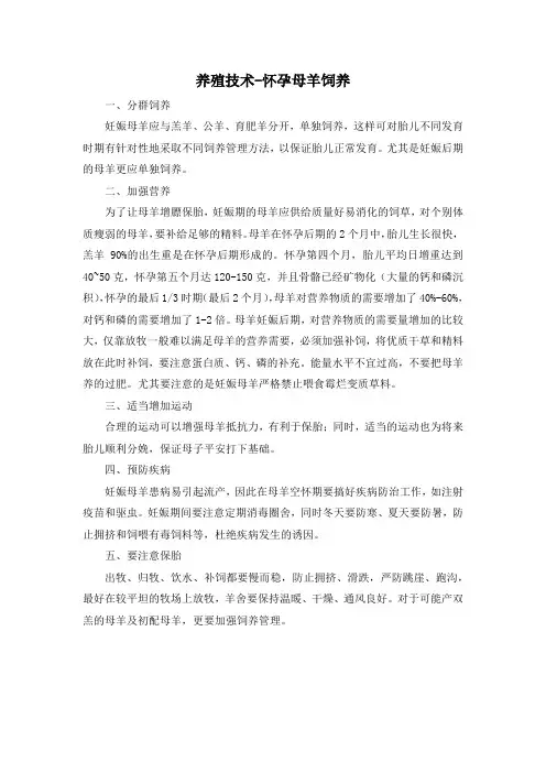 养殖技术-怀孕母羊饲养