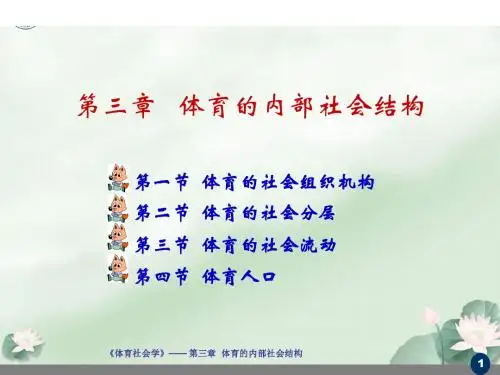 第三章 体育的内部社会结构