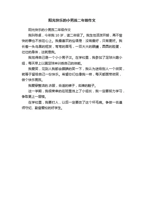阳光快乐的小男孩二年级作文