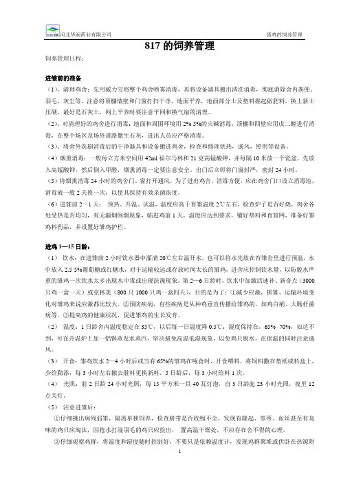 817肉鸡的饲养管理