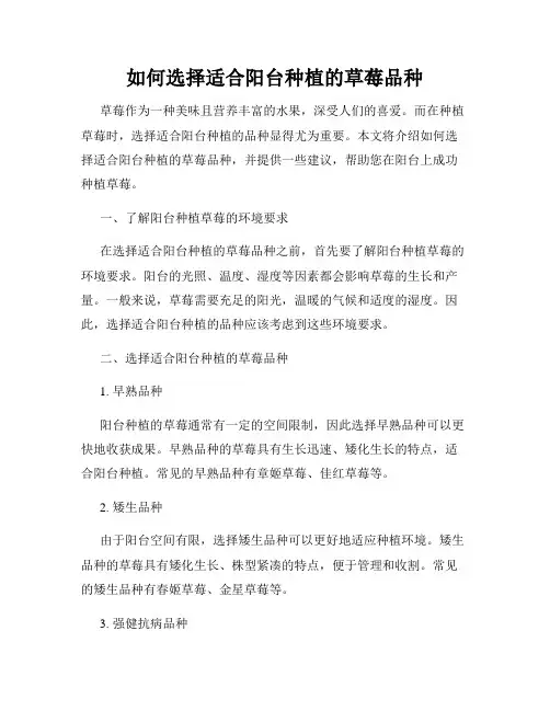 如何选择适合阳台种植的草莓品种