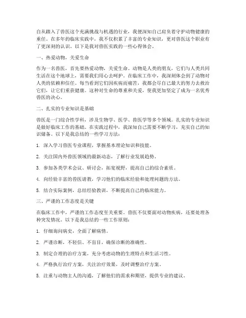 兽医的实践心得体会