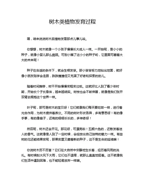 树木类植物发育过程