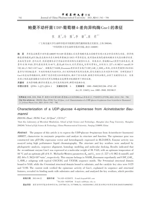 鲍曼不动杆菌UDP-葡萄糖4-差向异构酶Gne1的表征