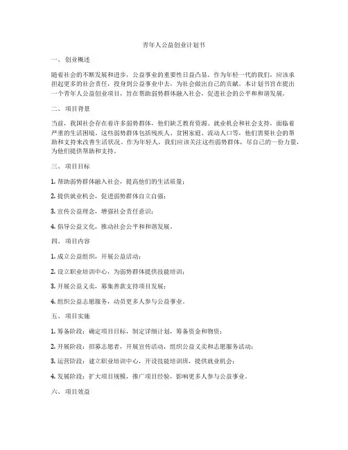 青年人公益创业计划书