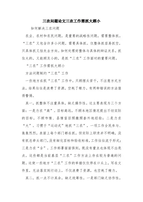 三农问题论文三农工作需抓大顾小