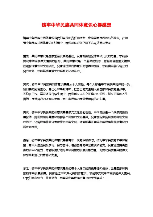 铸牢中华民族共同体意识心得感想