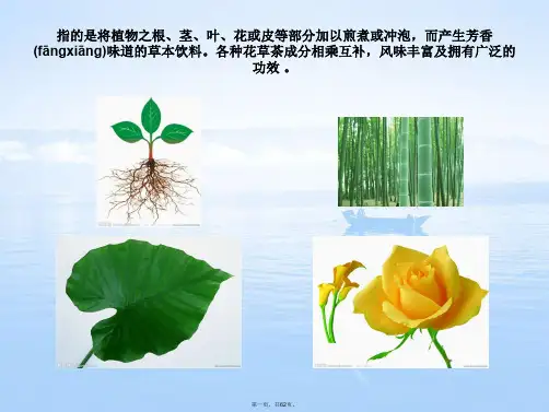 花草茶养生知识讲座课件