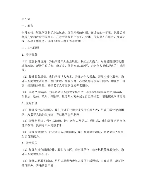 养老福利院年度总结范文(3篇)