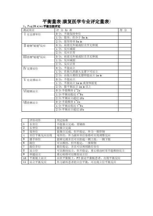 平衡量表(康复医学专业评定量表)