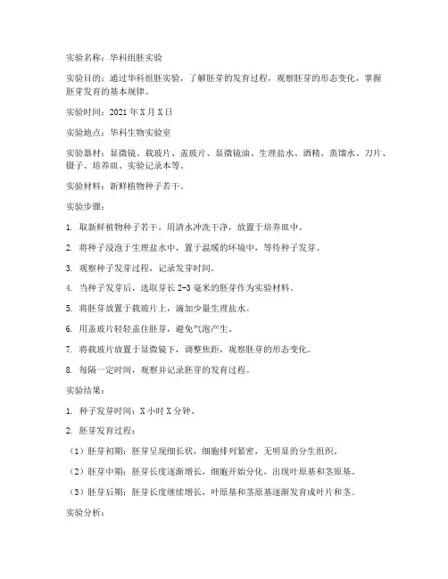 华科组胚实验报告