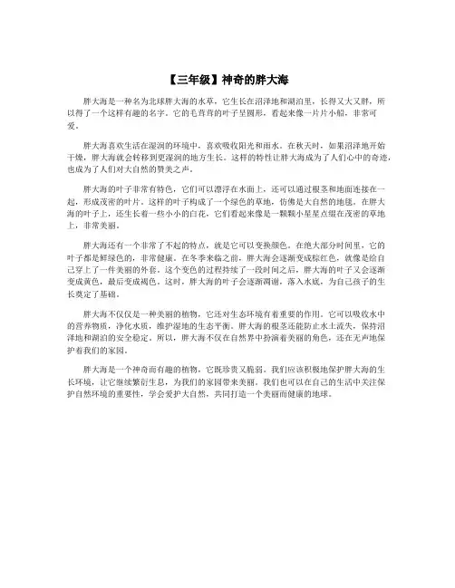 【三年级】神奇的胖大海