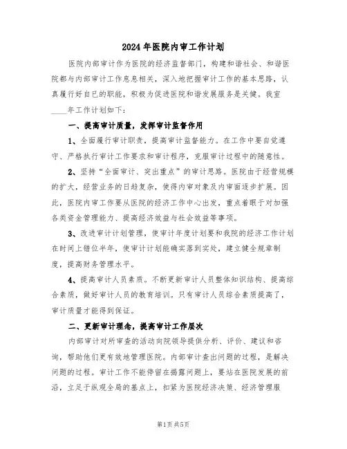 2024年医院内审工作计划（二篇）
