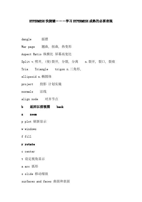 hypermesh快捷键及常见英文