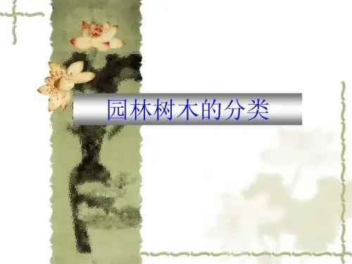 植物分类