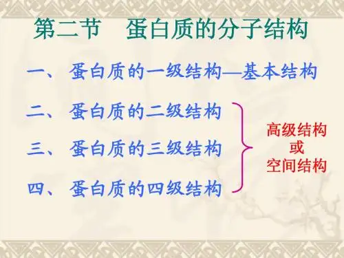 蛋白质的结构与功能