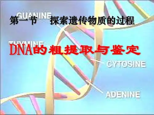 DNA粗提取与鉴定