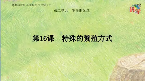 五年级上册科学课件-第16课特殊的繁殖方式(共18张PPT)粤教版