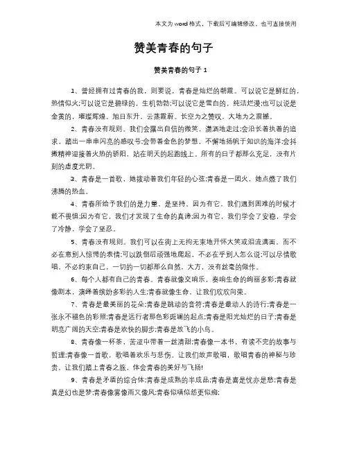 赞美青春的句子