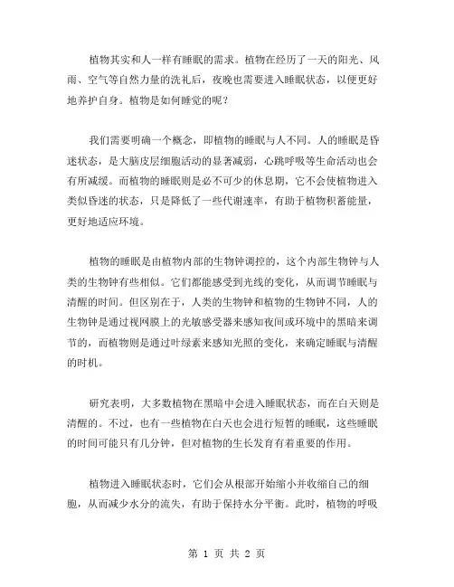 植物会睡觉作文范文