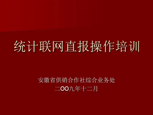统计联网直报操作培训-PPT课件
