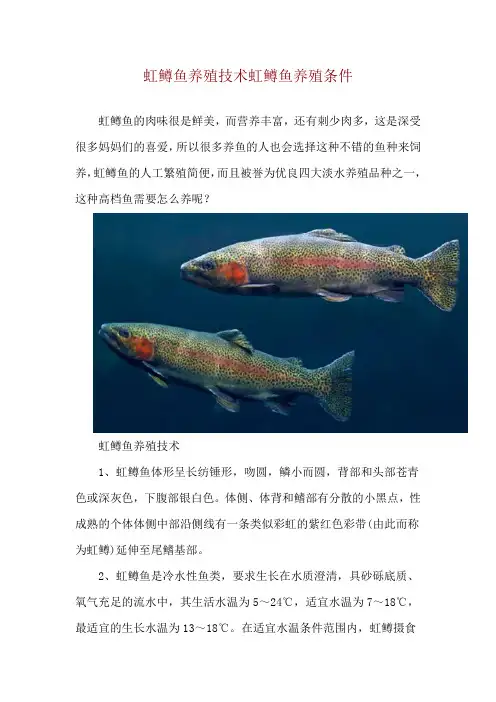 虹鳟鱼养殖技术 虹鳟鱼养殖条件