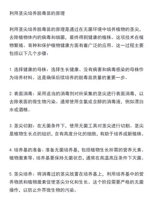 利用茎尖培养脱毒苗的原理