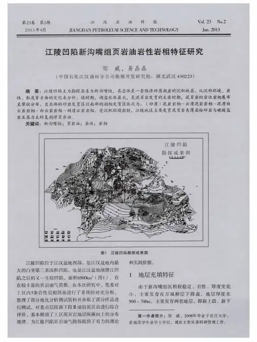 江陵凹陷新沟嘴组页岩油岩性岩相特征研究