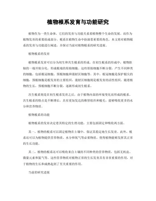 植物根系发育与功能研究